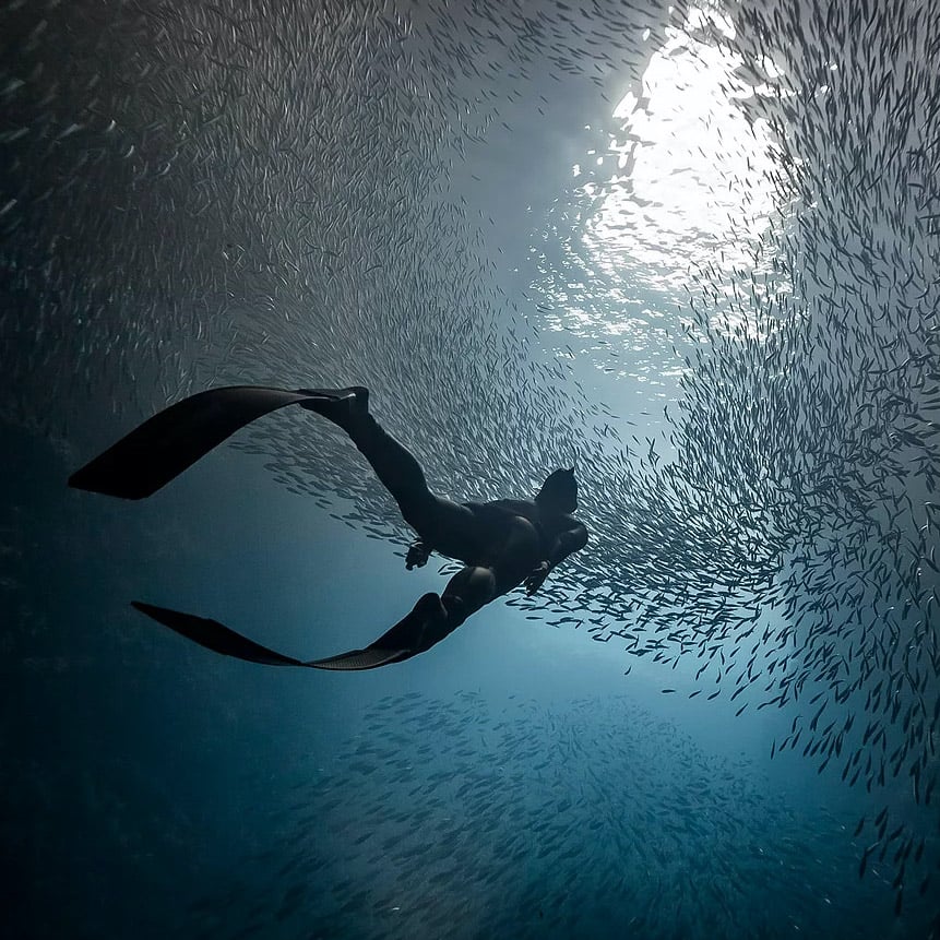 【Heyhey Dive 評價】AIDA 專門台北自由潛水，跟著教練一起探索水下世界 36