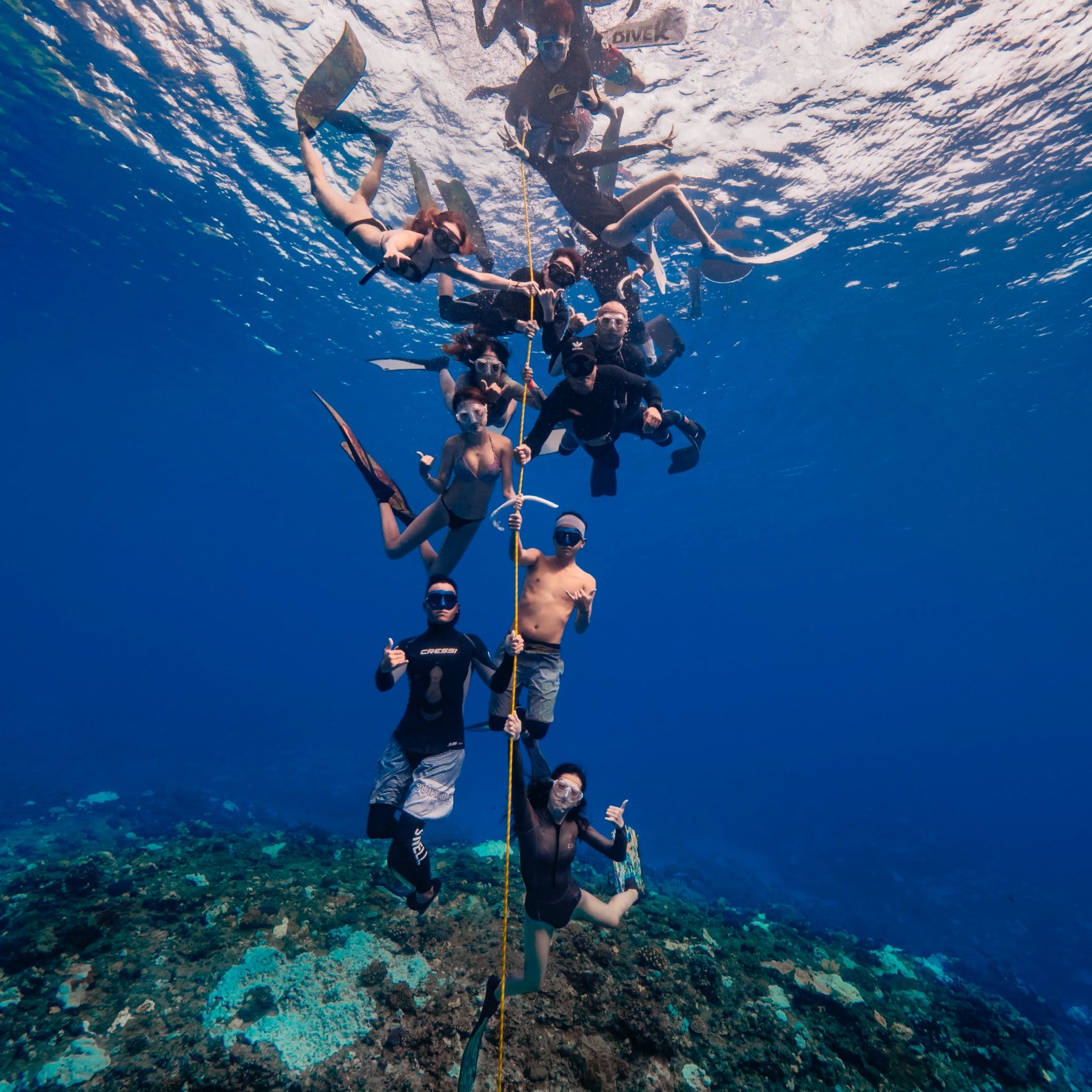 【Heyhey Dive 評價】AIDA 專門台北自由潛水，跟著教練一起探索水下世界 34