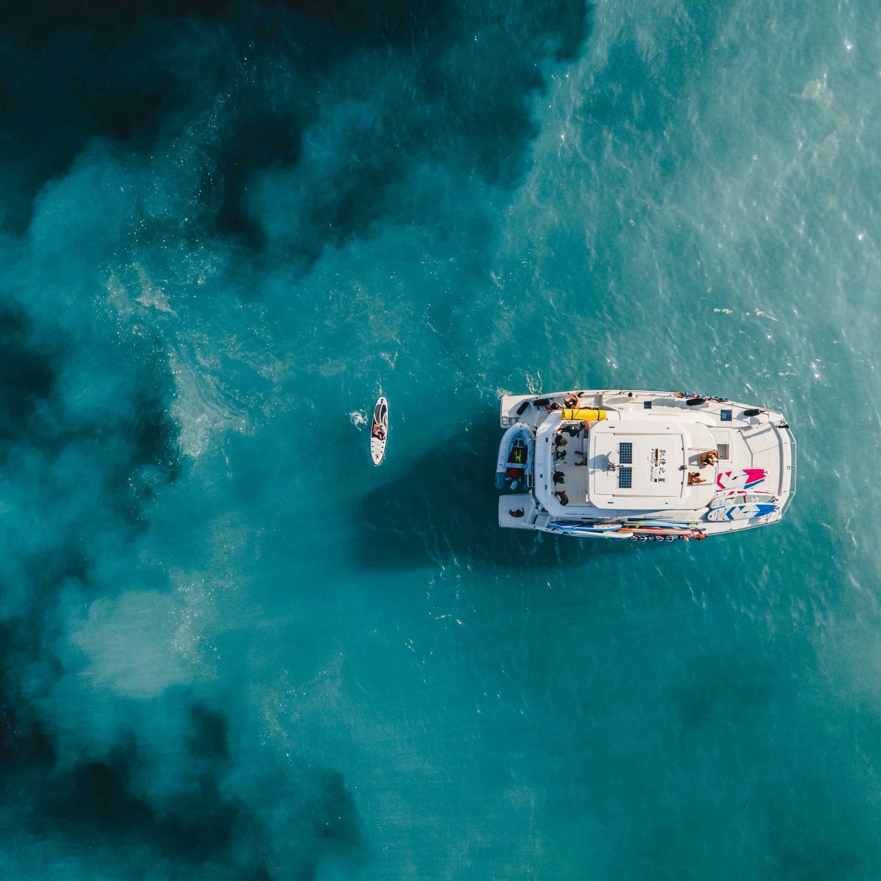 [헤이헤이 다이브 리뷰] 타이페이에서 프리다이빙을 전문으로 하는 AIDA, 강사와 함께 수중세계를 탐험해보세요 40