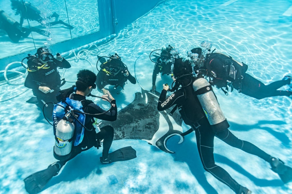 Long Dong (Dragon caves) Snorkeling Experience - Ofucos 歐夫寇斯