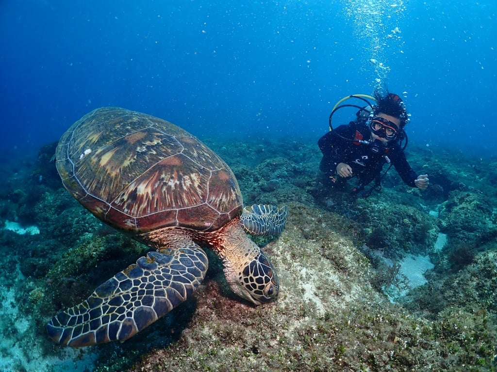 Xiaoliuqiu Scuba Diving Recommendation-Island Nitrogen Diving-02 Xiaoliuqiu Scuba Diving Recommendation-Island Nitrogen Diving-02