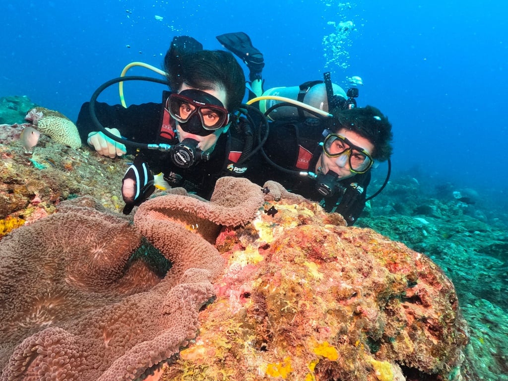 Scuba Diving Quick Guide｜What Can You Do with an OW Scuba Diving ...