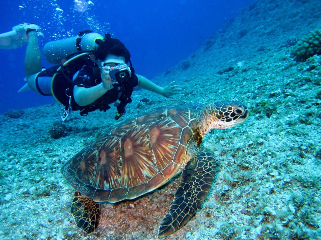 Xiaoliuqiu Diving Recommended