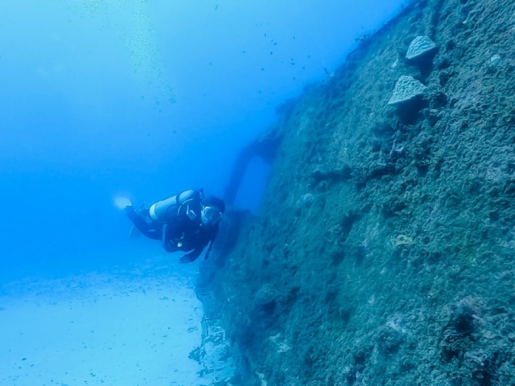[Juliuqiu Diving Backpacker Inn 리뷰] 5000 다이빙 경험이 있는 강사를 따라 Xiaoliuqiu 난파선 41의 비밀 장소를 탐험하세요