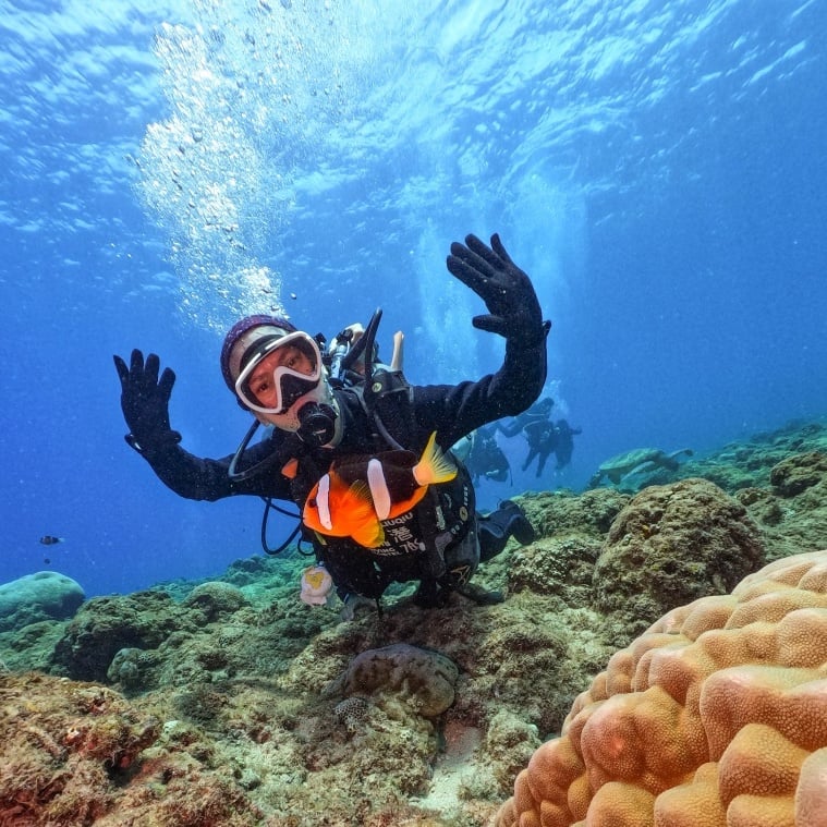 [Juliuqiu Diving Backpacker Inn 리뷰] 5000 다이빙 경험이 있는 강사를 따라 Xiaoliuqiu 난파선 23의 비밀 장소를 탐험하세요
