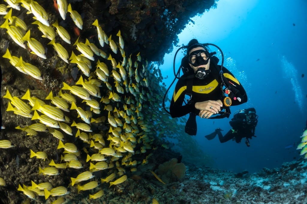 【綠島潛水推薦】深潛進世界級海底景點！4間綠島水肺潛水店評比