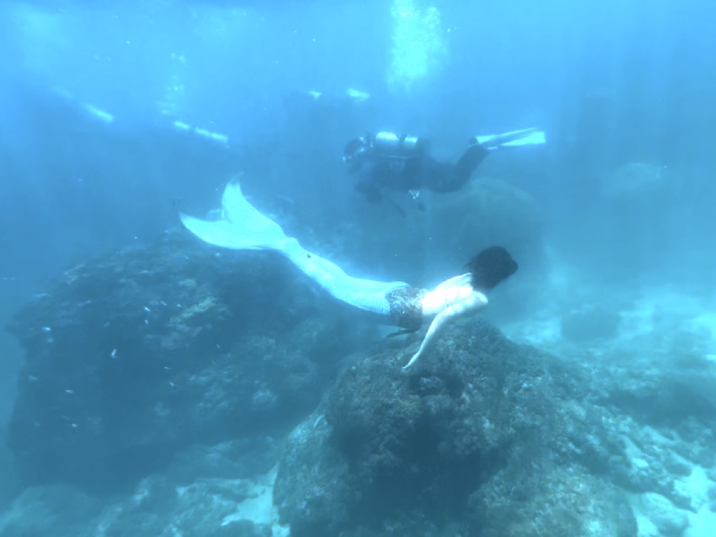 進階人魚課程：海洋訓練