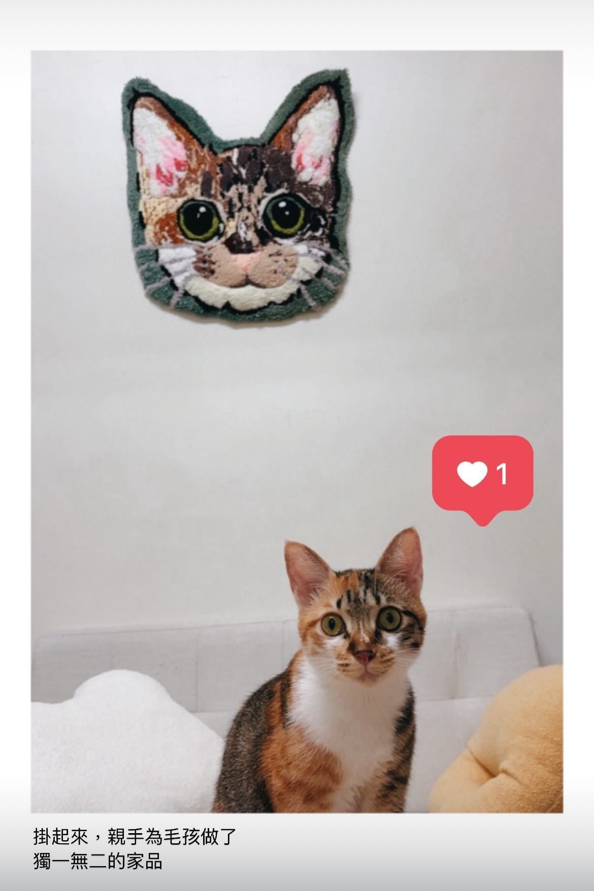tuft-tuft-cat09