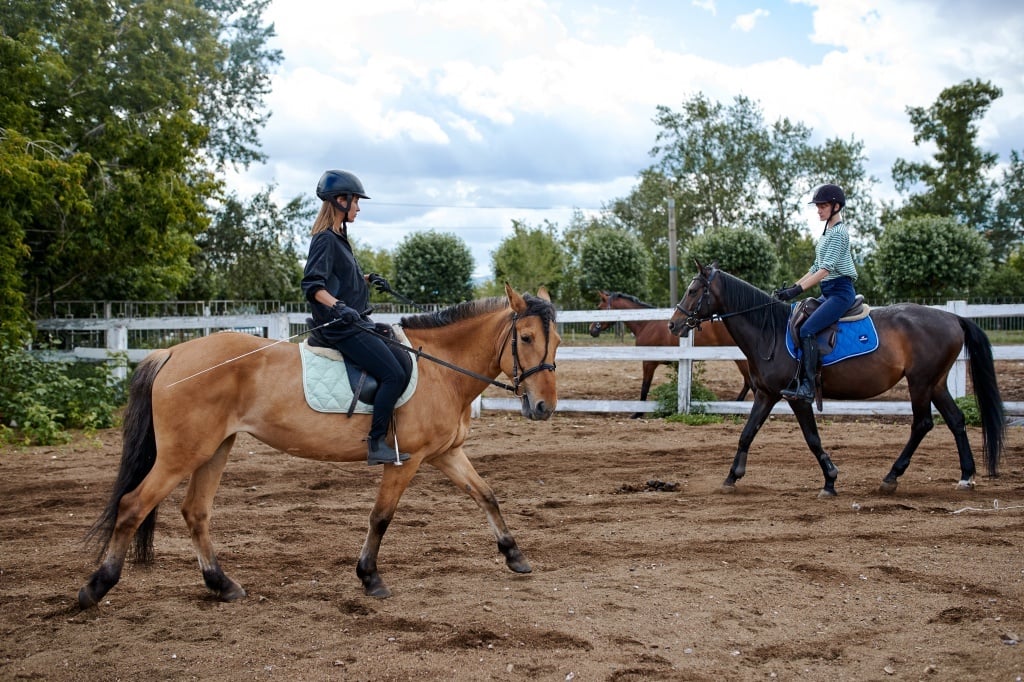 【台中騎馬推薦】新手入門馬術課程，6間台中馬場騎乘體驗分享