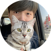 【台北貓咪住宿推薦】放心交給貓保姆,4間台北貓旅館評比 3 Jao