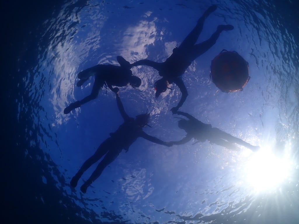 【心海潛水評價】最有人情味的後壁湖潛水店，熱情一家人帶你探索墾丁海洋 60