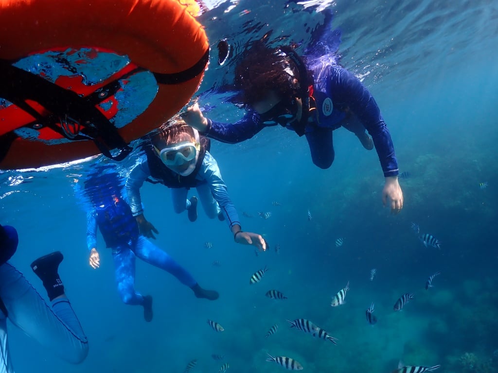 【心海潛水評價】最有人情味的後壁湖潛水店，熱情一家人帶你探索墾丁海洋 68
