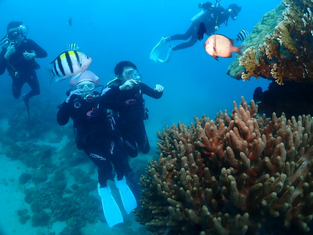 【心海潛水評價】最有人情味的後壁湖潛水店，熱情一家人帶你探索墾丁海洋 22