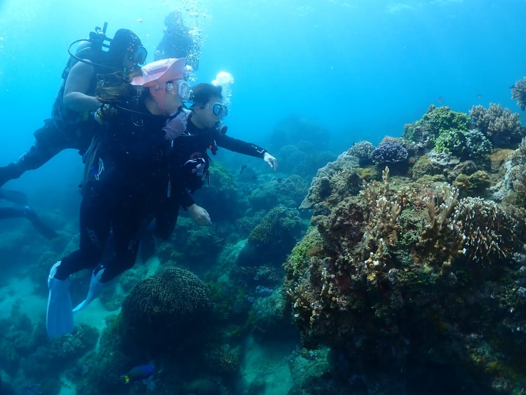 【心海潛水評價】最有人情味的後壁湖潛水店，熱情一家人帶你探索墾丁海洋 52