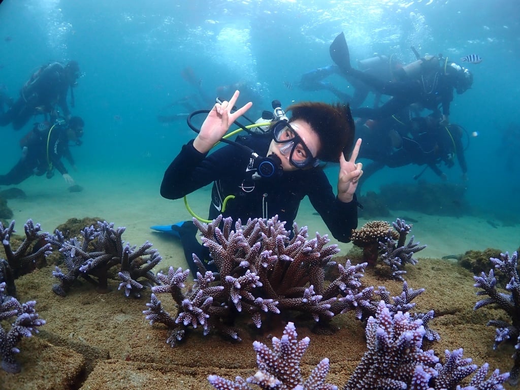 [Penghu Daily Diving Review] Experience diving to explore the underwater lavender forest, and then send postcards to the submarine mailbox 26