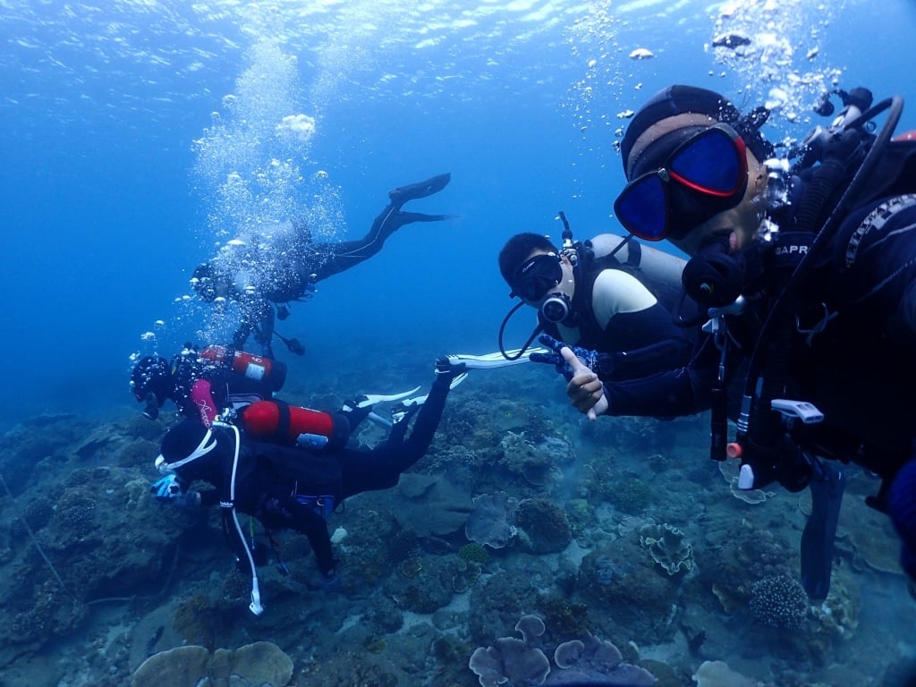 PADI 興仁潛水