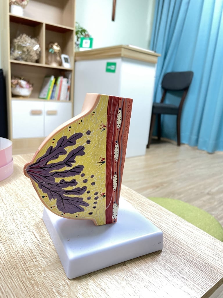 台中胸部按摩推薦-羽妃美學3