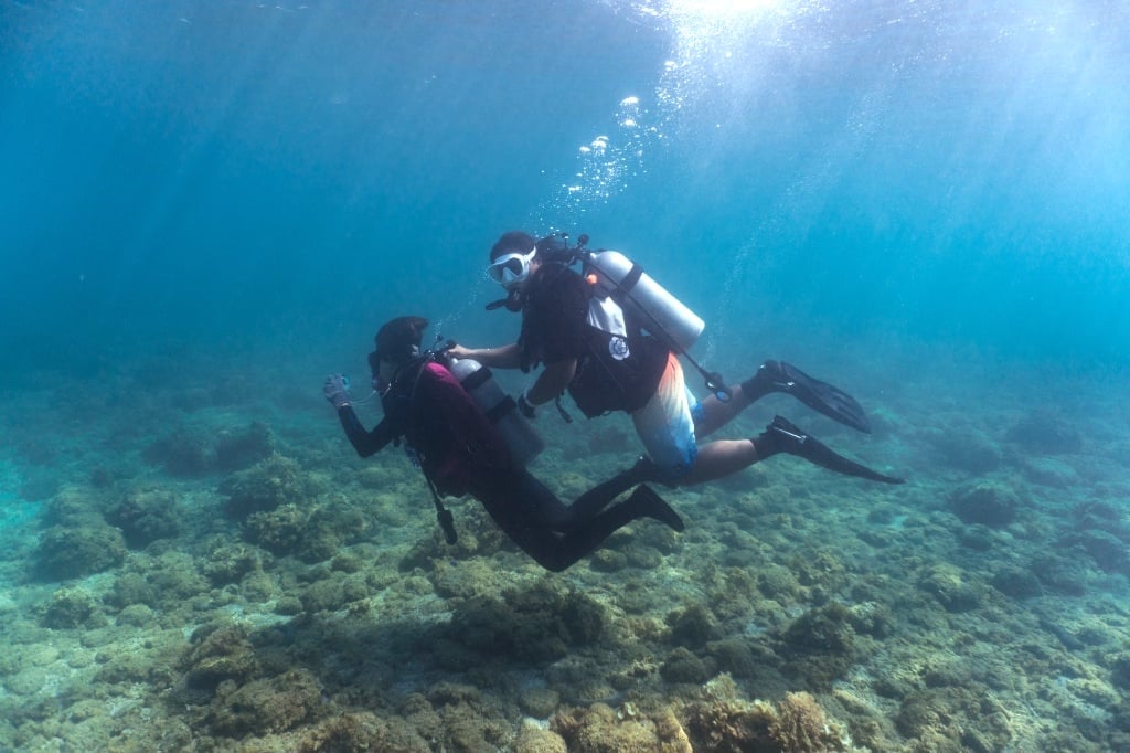 Penghu Diving Recommendation-Inari Diving