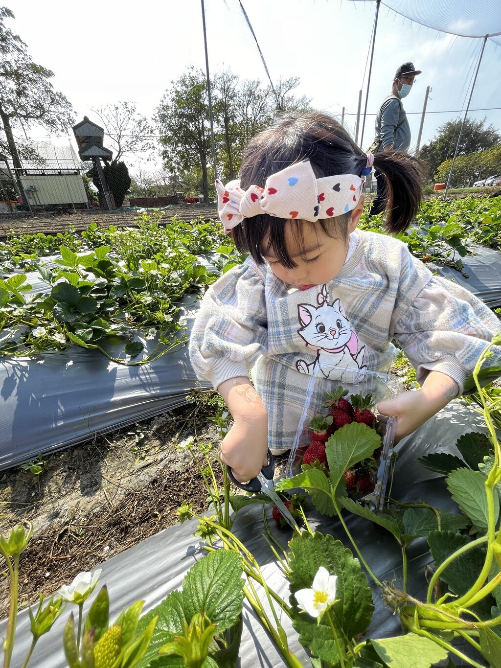 新竹親子農場-Go-Bear-溝貝親子休閒農莊-01-rotated