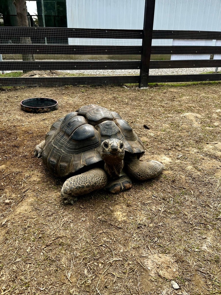 新竹親子農場-廢物媽媽育兒農場-03