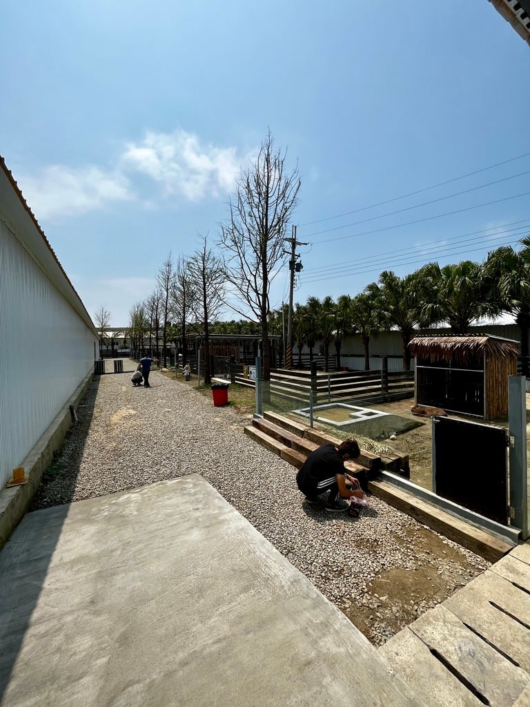 新竹親子農場-廢物媽媽育兒農場-05