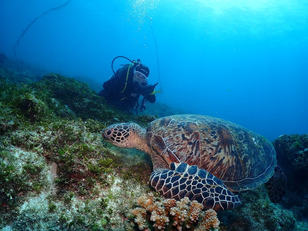 [Extended Field Base Evaluation] All-round SSI Diving Training Center, the number one technical diving center in Taiwan71