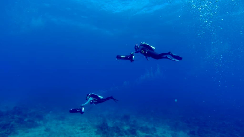 【延伸領域基地評價】全方位的 SSI 潛水訓練中心，小琉球潛水考照首選 4