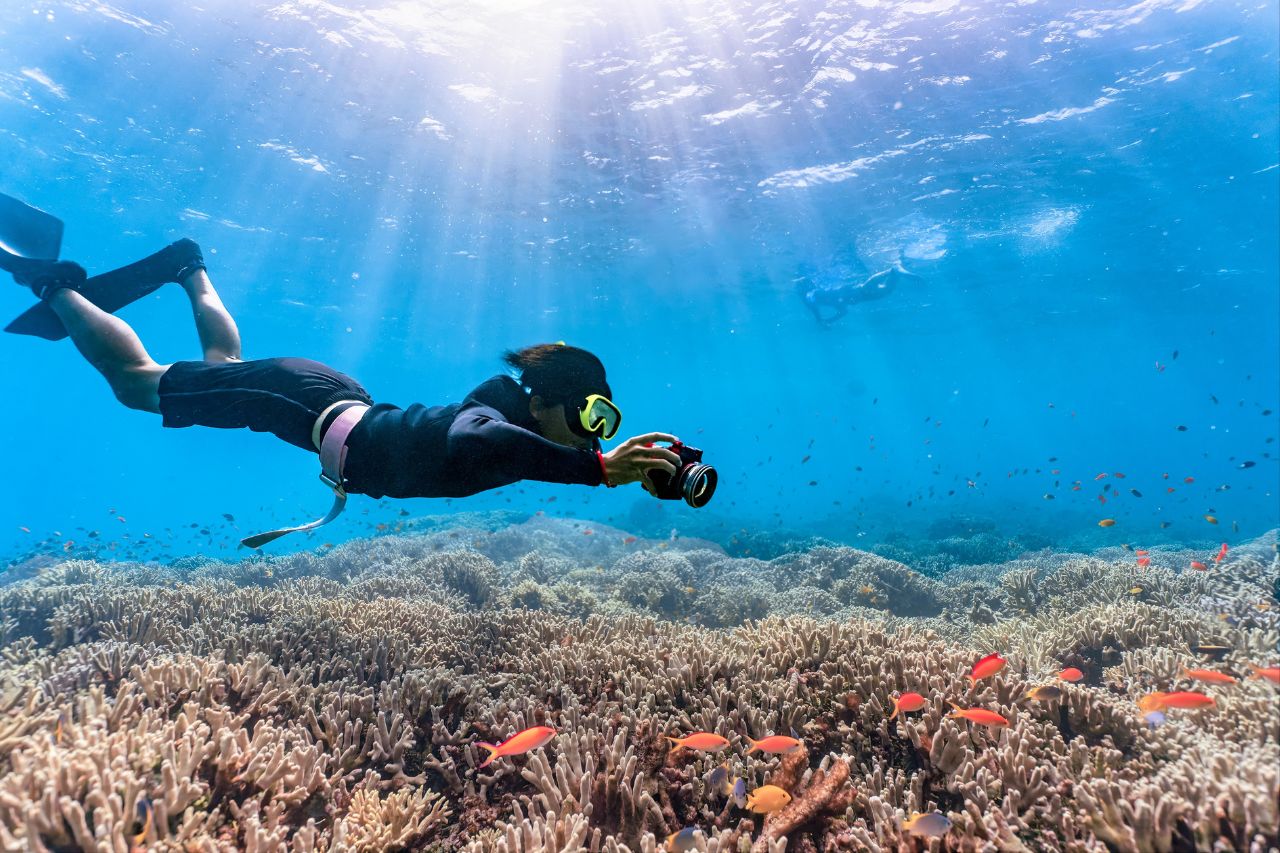 Recommended dive sites in Penghu