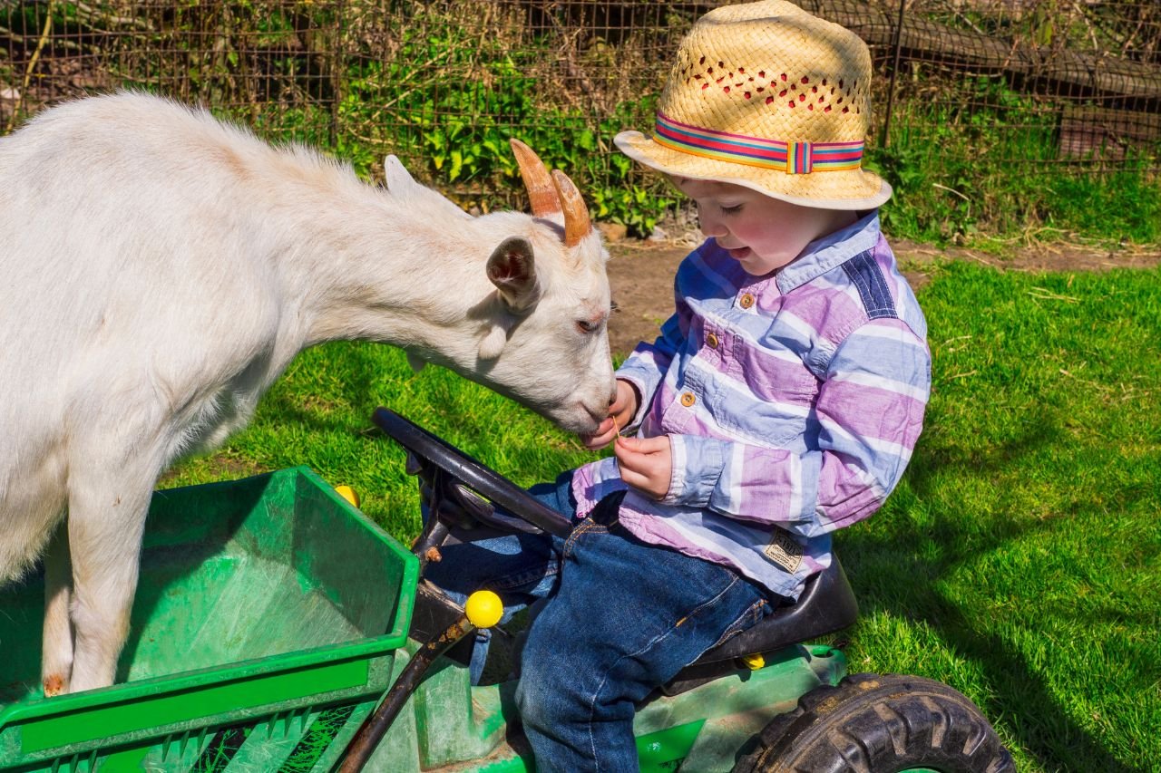 Recommended family farms in Kaohsiung