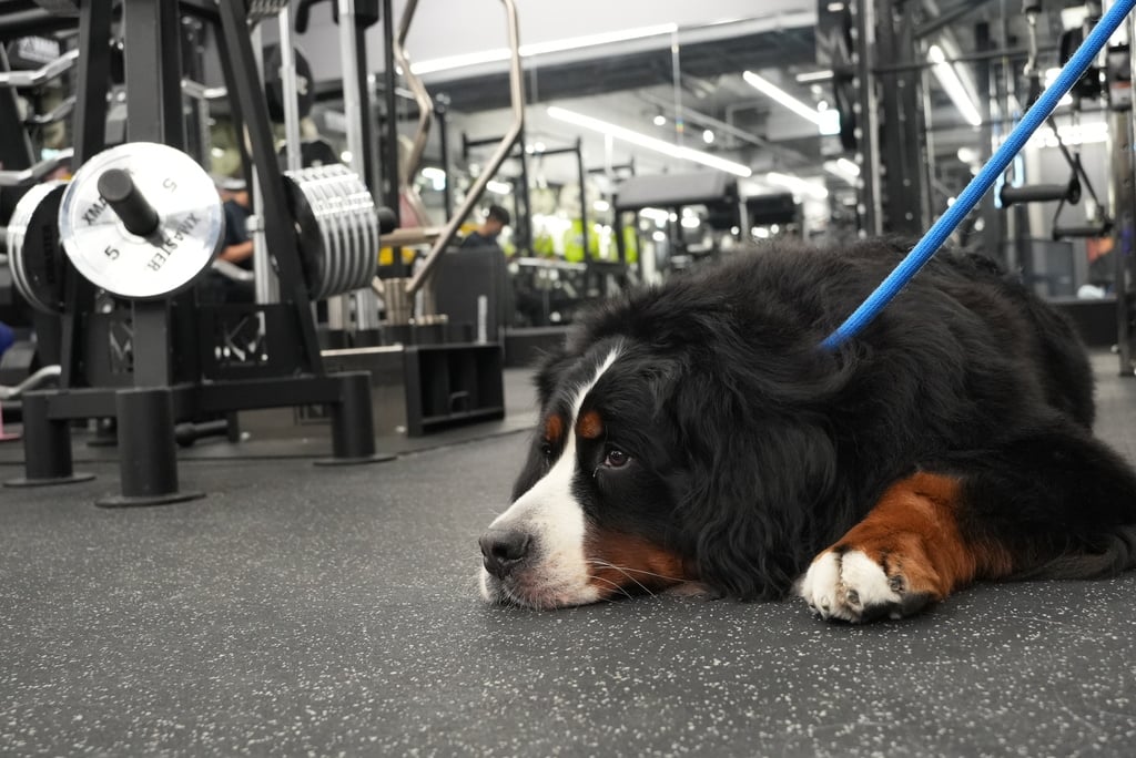 [BE YOUR FITNESS evaluation] The charging environment system is super flexible, the most free Jiangzicui Gym 13