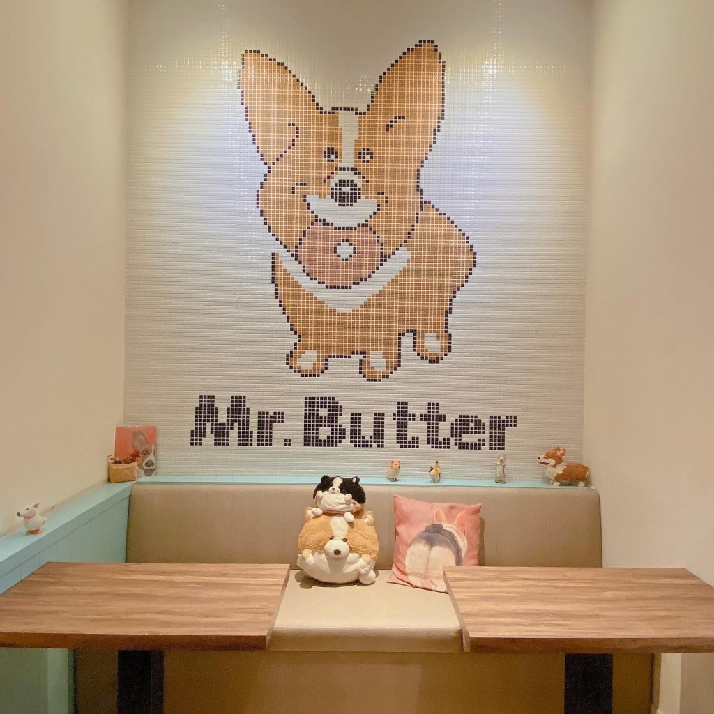 Double North Pet Café Recommendation-Mr. Creamy