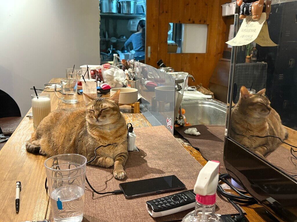 トーストチャット