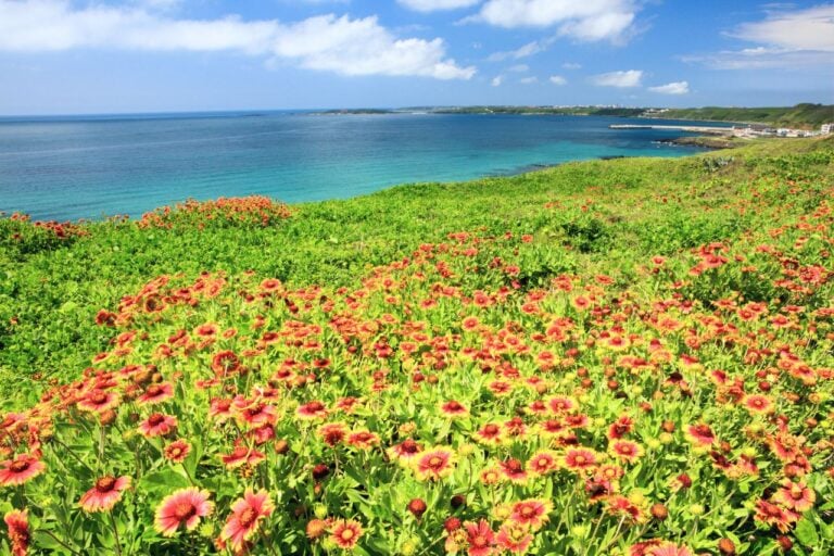 【澎湖跳島懶人包】離島控必收!10+景點推薦與跳島套裝行程推薦 【澎湖跳島懶人包】離島控必收!10+景點推薦與跳島套裝行程推薦
