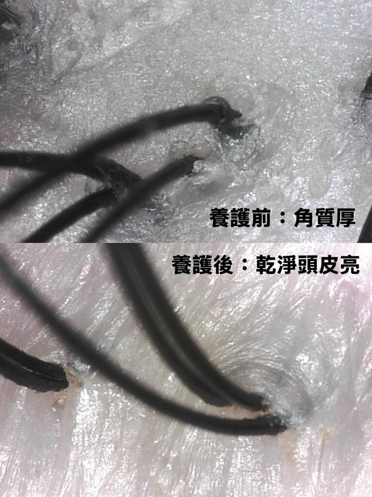 46d8e928-7e41-4ea9-9927-1950f3f03f4c