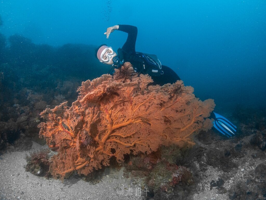 嶼海相干 Sea Liuqiu Dive優惠_20260115
