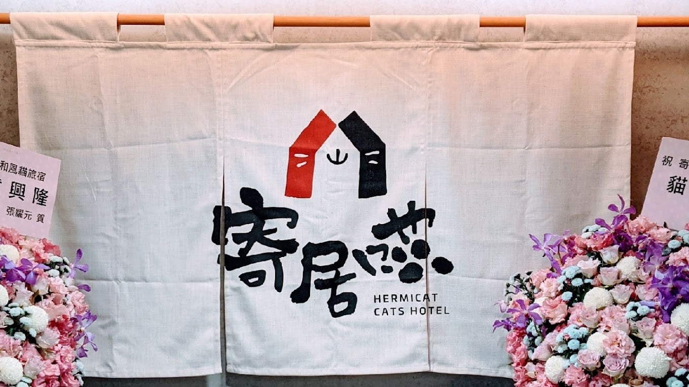 寄居喵評價|信義區貓咪專屬住宿空間,全台首家綠裝修認證貓旅館 寄居喵和風貓旅宿品牌介紹