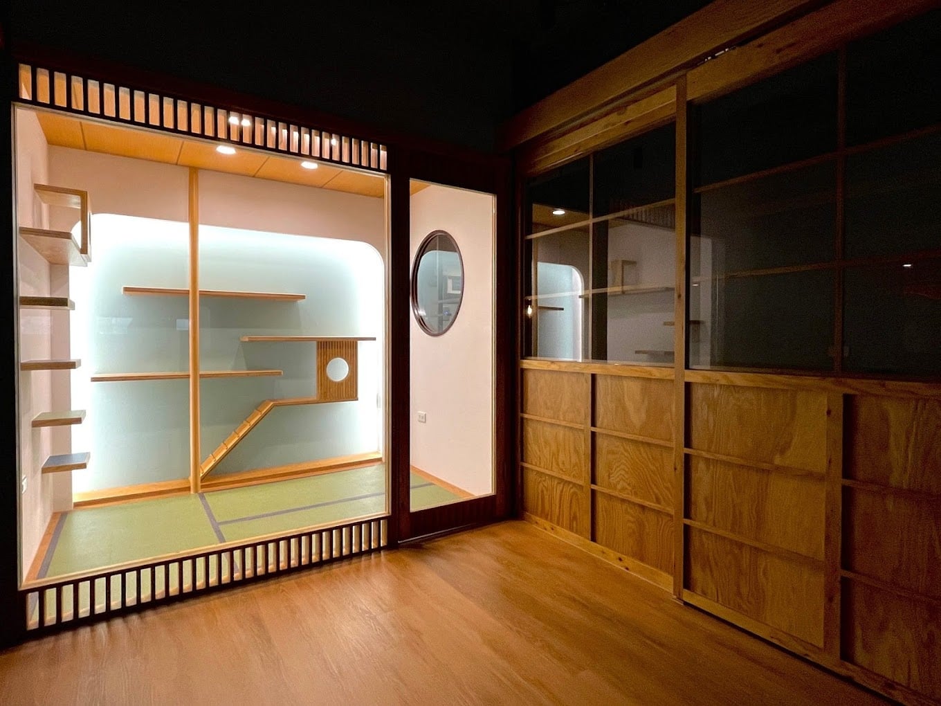 寄居喵評價|信義區貓咪專屬住宿空間,全台首家綠裝修認證貓旅館 7 房型多樣化,私密和公共空間都好玩