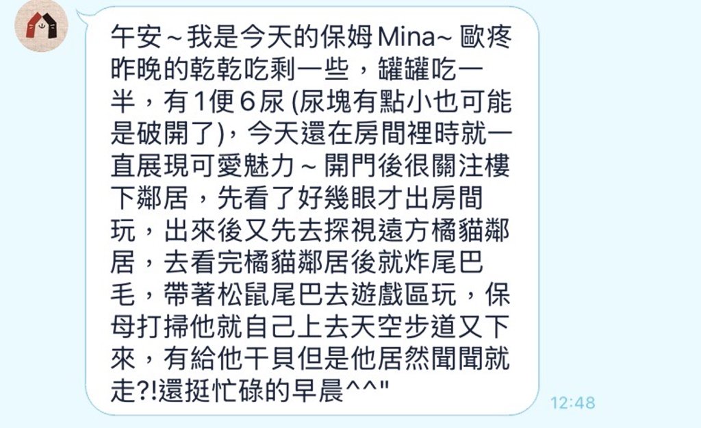 寄居喵評價|信義區貓咪專屬住宿空間,全台首家綠裝修認證貓旅館 26 每日放風與回報,即時了解貓咪適應狀態