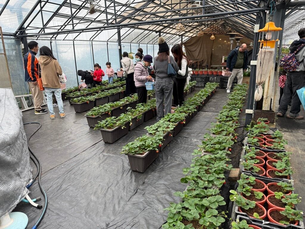 草莓園在二樓，一樓是餐廳
