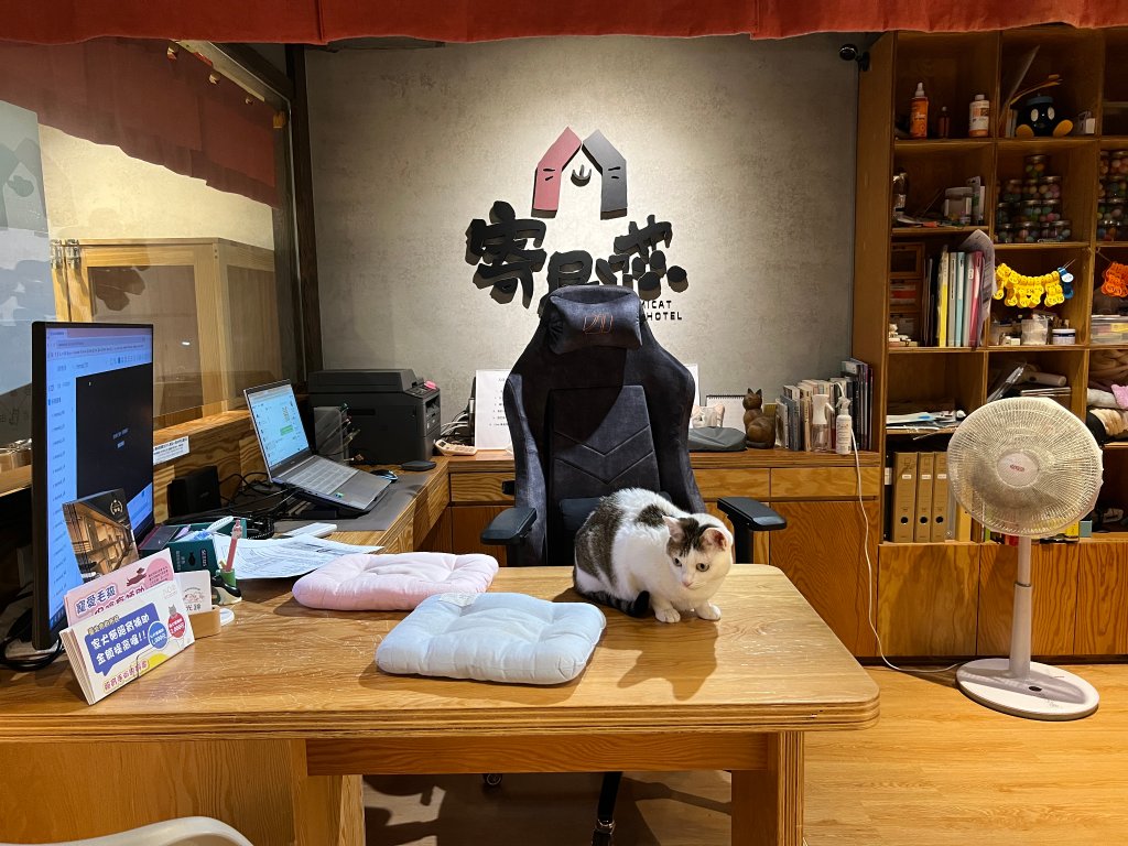 寄居喵評價|信義區貓咪專屬住宿空間,全台首家綠裝修認證貓旅館 23 貼心的入住提醒,讓貓咪更快適應環境