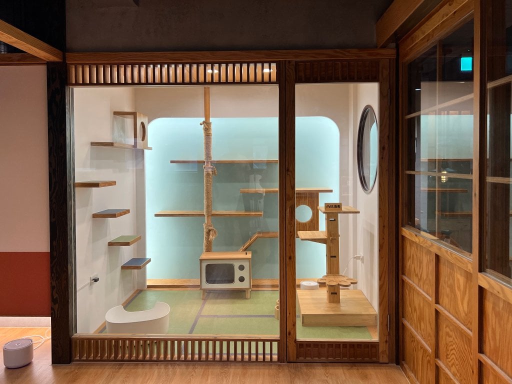 寄居喵評價|信義區貓咪專屬住宿空間,全台首家綠裝修認證貓旅館 18 千草之間:適合 1 至 6 貓入住,適合大家庭怕寂寞的貓貓